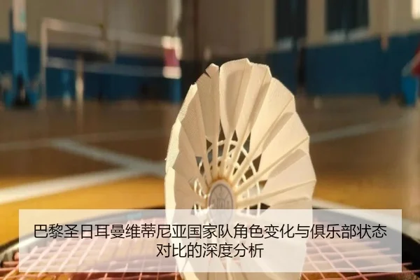 巴黎圣日耳曼维蒂尼亚国家队角色变化与俱乐部状态对比的深度分析